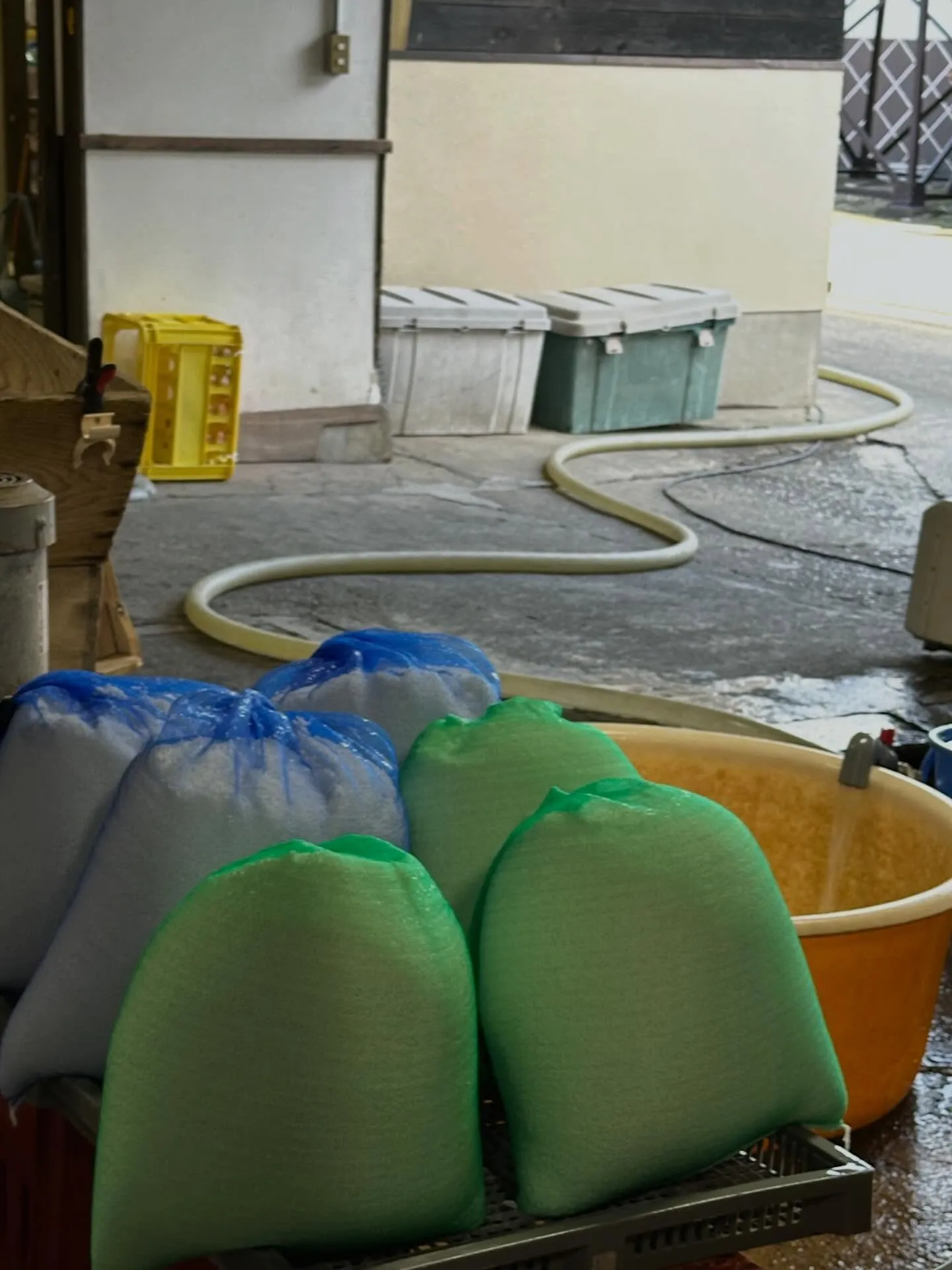 あっという間に1月が過ぎていきます。