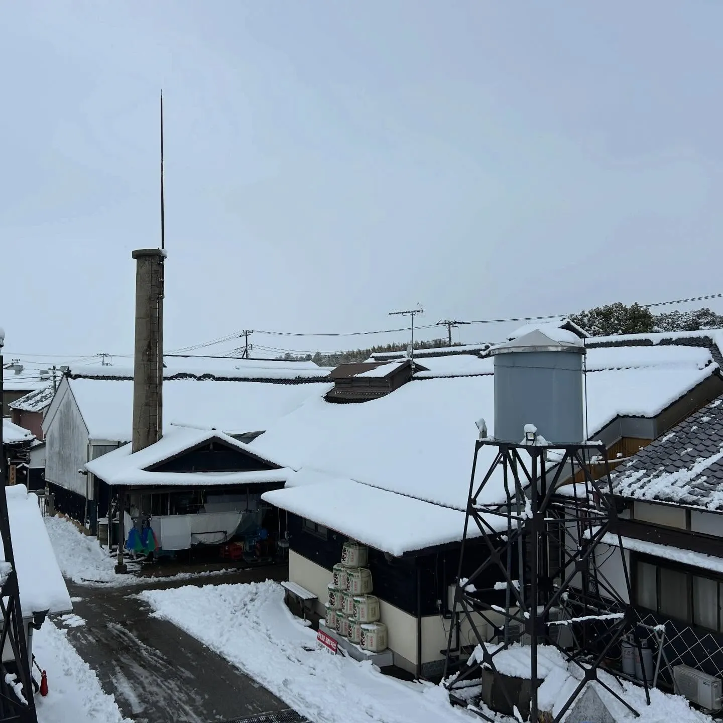 皆さまの地域は雪、大丈夫でしたか。