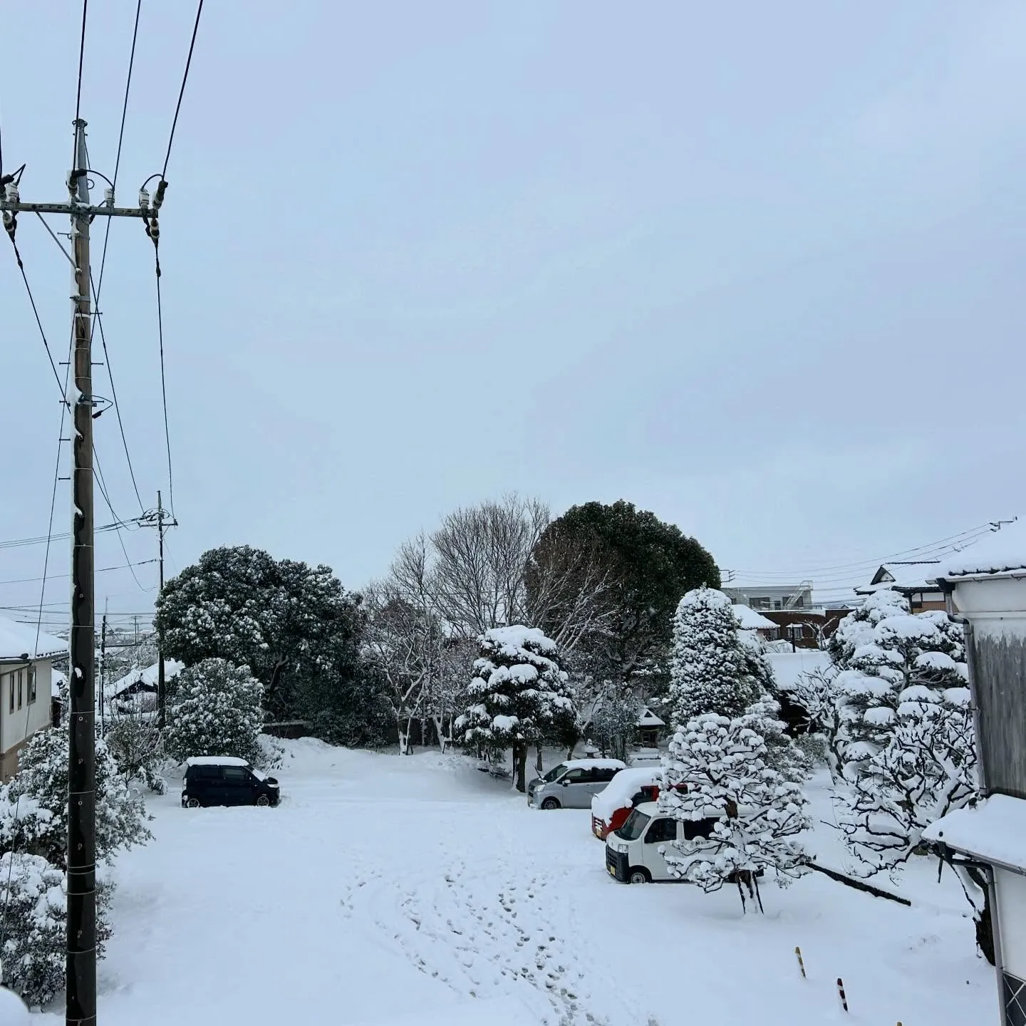 皆さまの地域は雪、大丈夫でしたか。