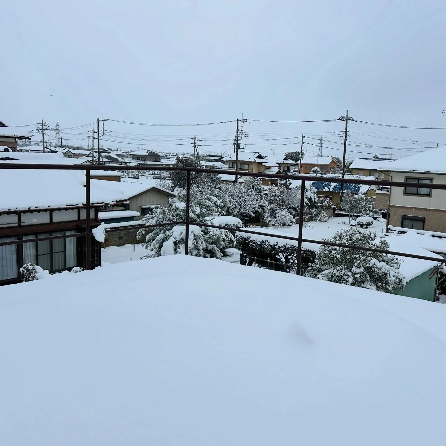 皆さまの地域は雪、大丈夫でしたか。
