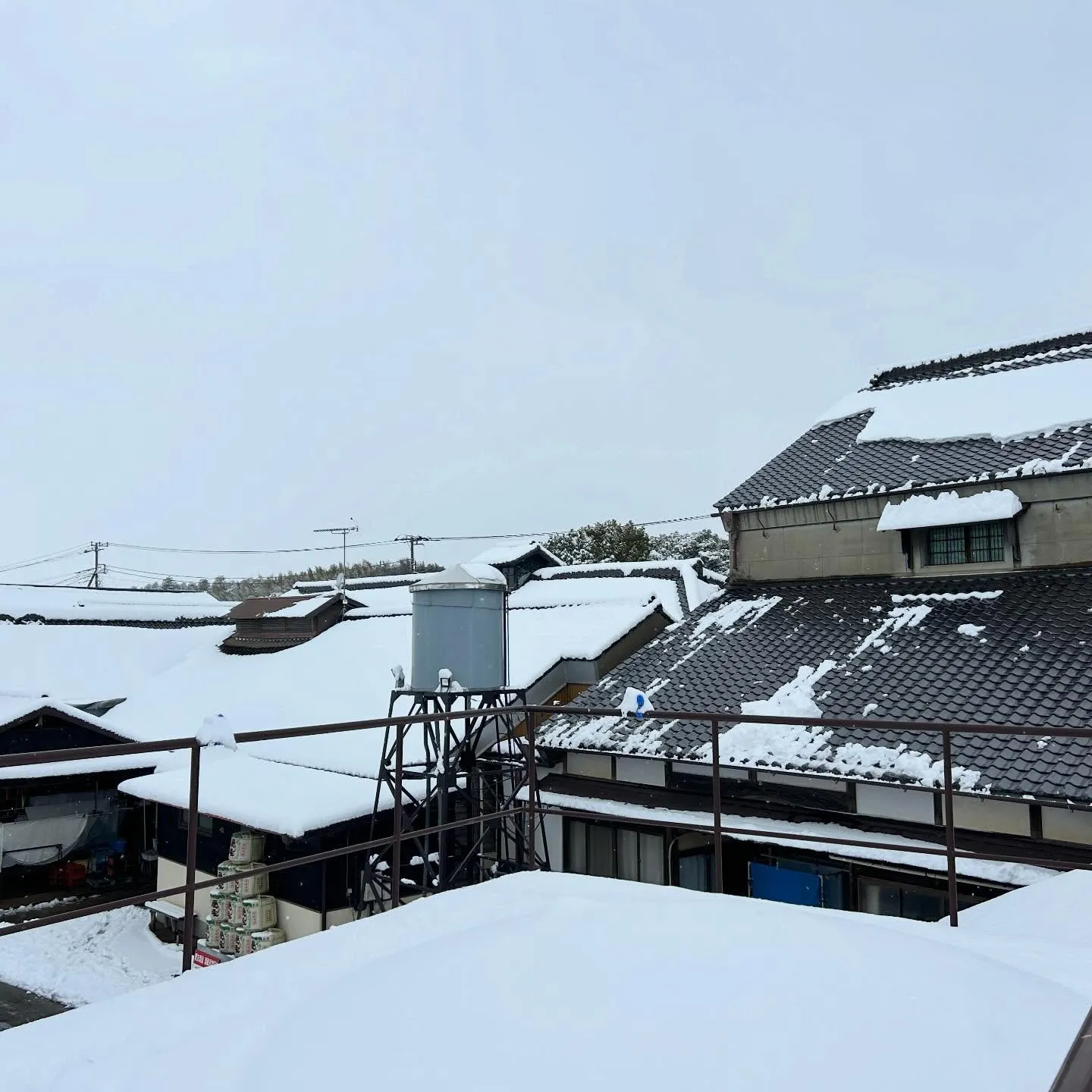 皆さまの地域は雪、大丈夫でしたか。