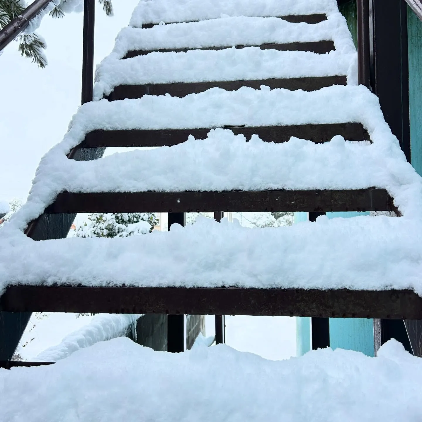 皆さまの地域は雪、大丈夫でしたか。