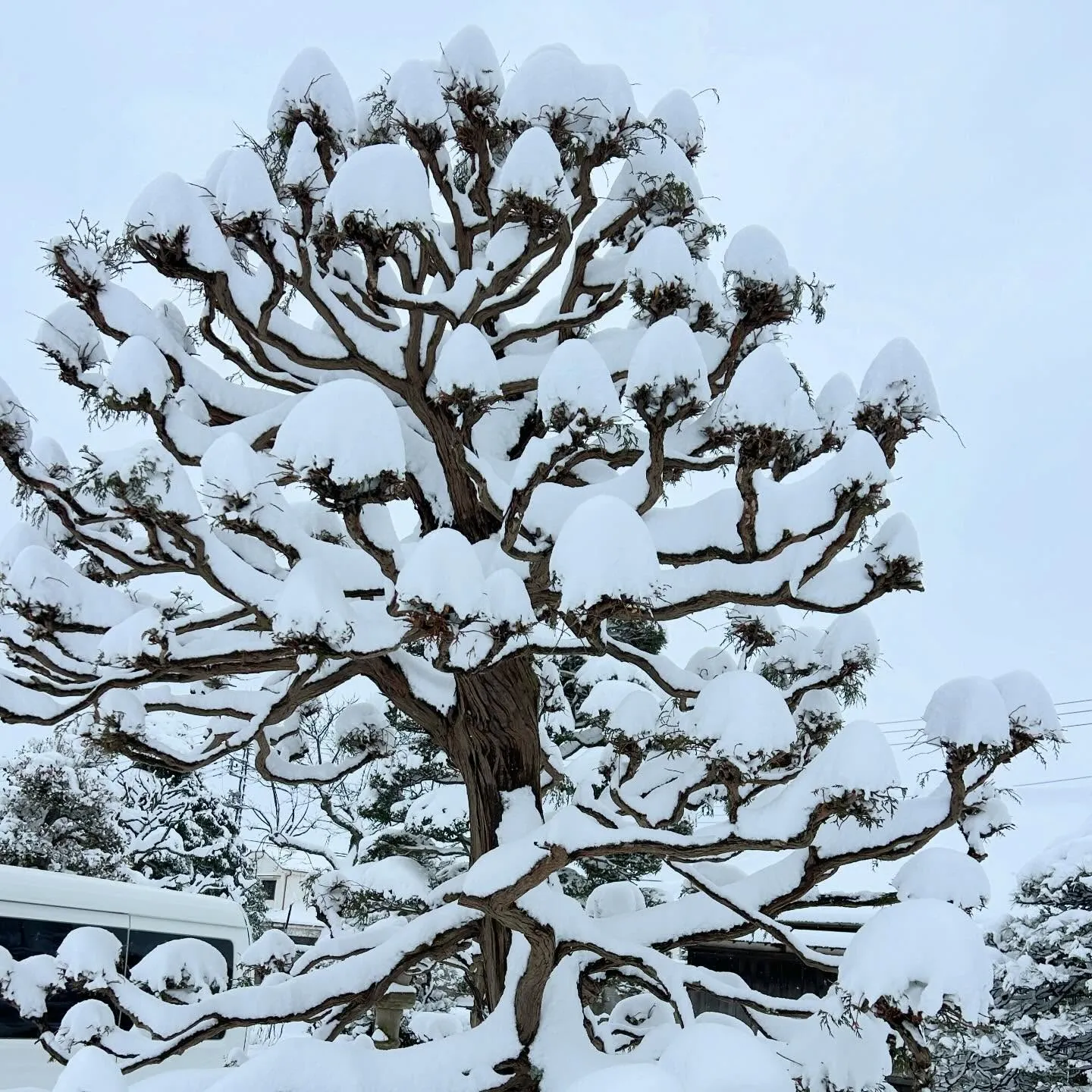 皆さまの地域は雪、大丈夫でしたか。