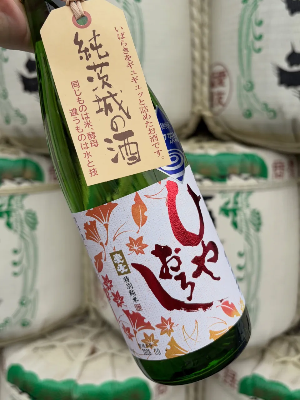 「愛友 特別純米 ひやおろし」、発売中です。