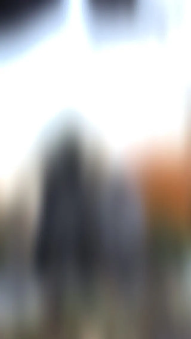 2025年もあとわずかとなりました。